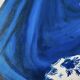 Peinture sur toile Lys et drapé bleu