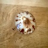 Shell and brass pill box