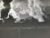 Photograph black and white silver print circa 1970 industrialization