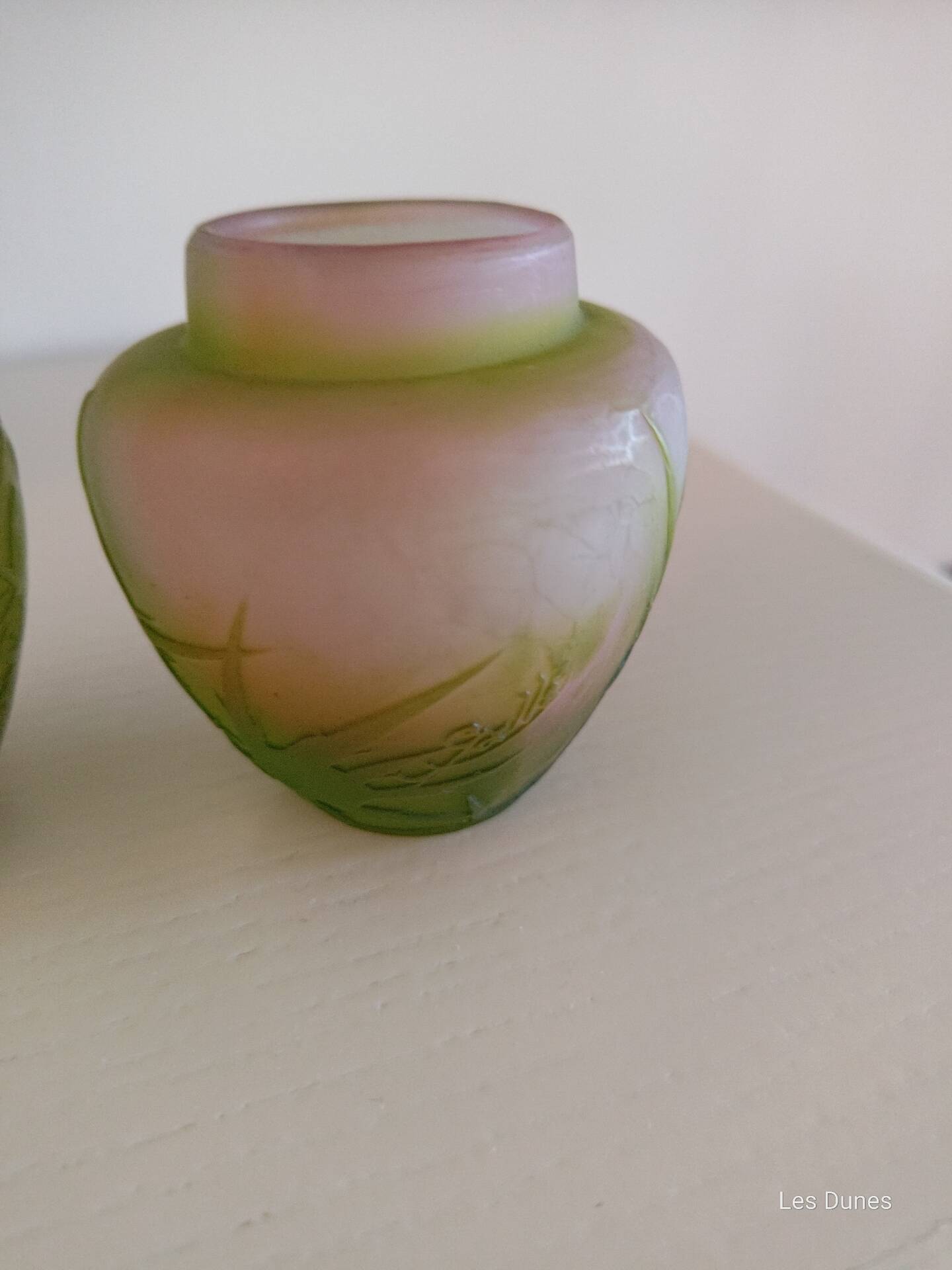 Paire de vases Gallé Art nouveau