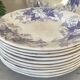 Lot de 10 assiettes Sarreguemines
