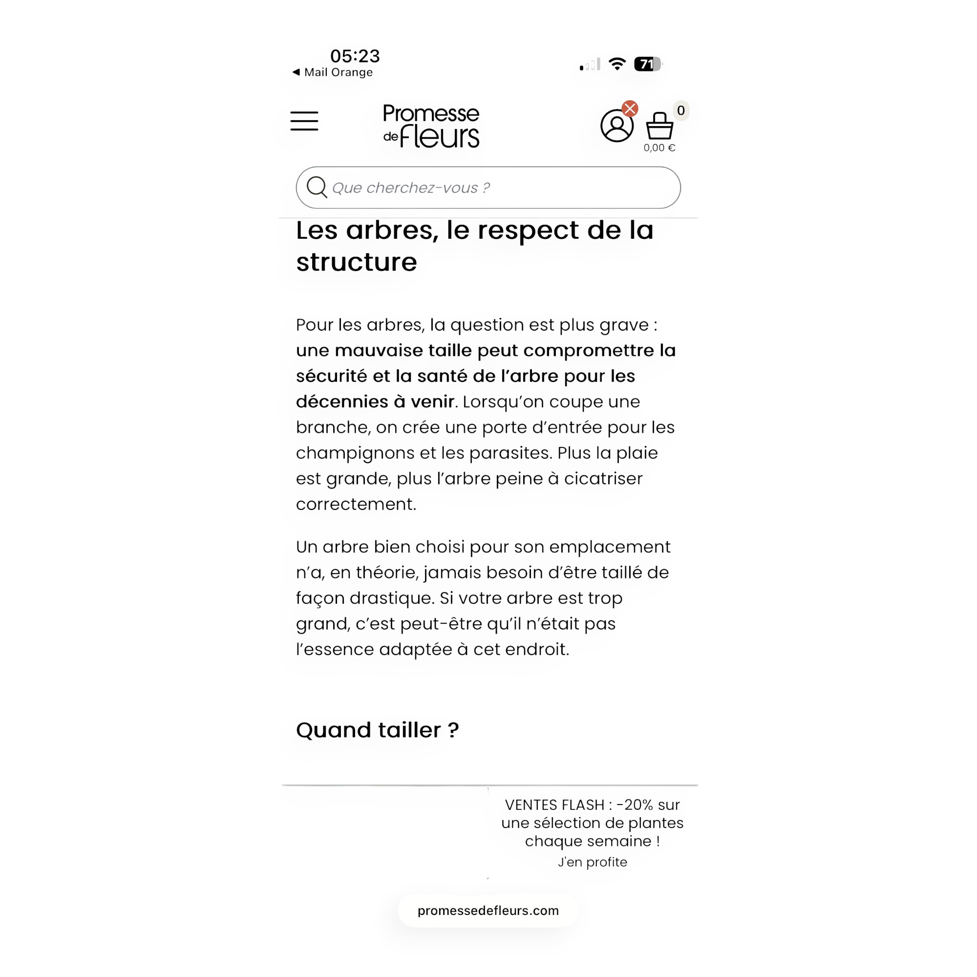 Directoire cherry wood bookcase