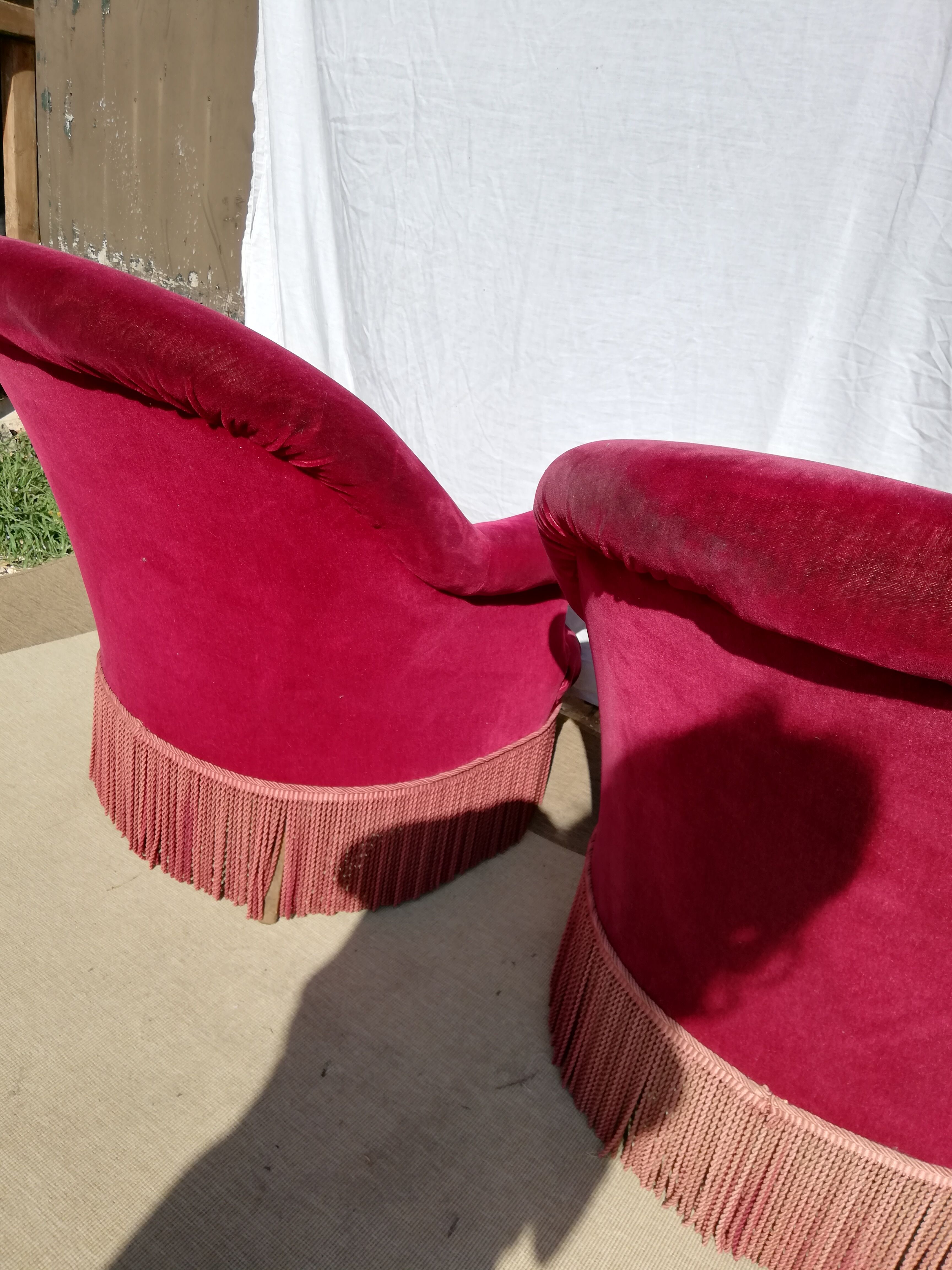 Two pretty cinema red Toad