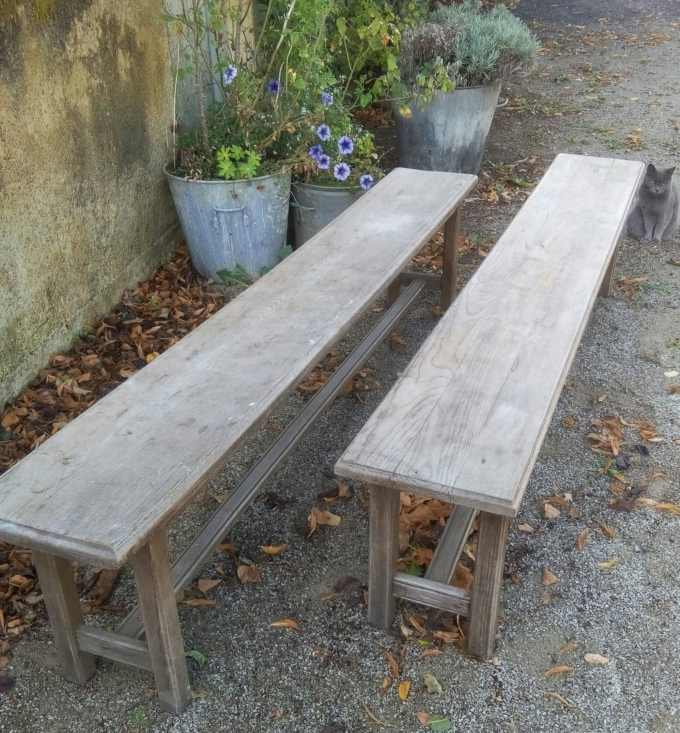 Pair of oak benches