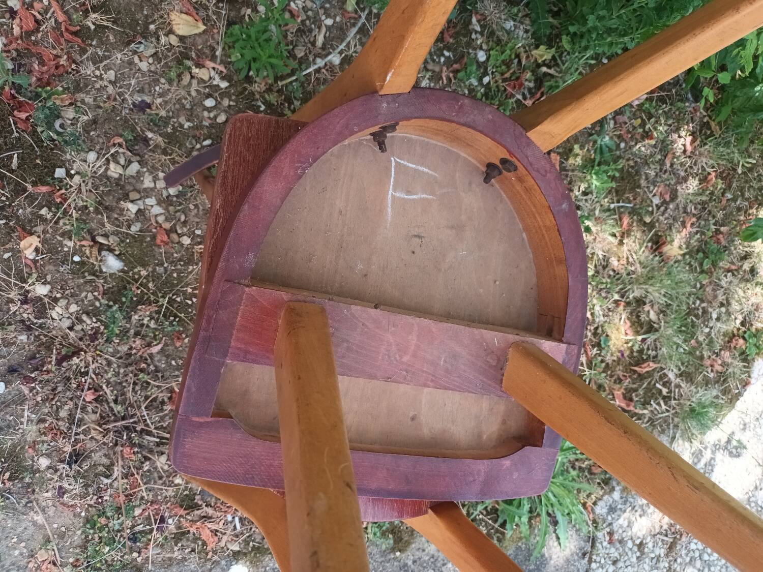 Stella Antelope Chairs