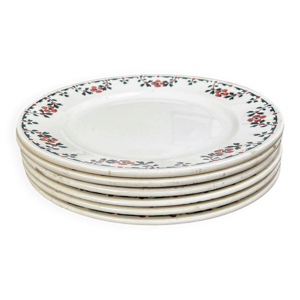 6 assiettes plates terre