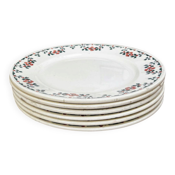 6 assiettes plates terre de fer