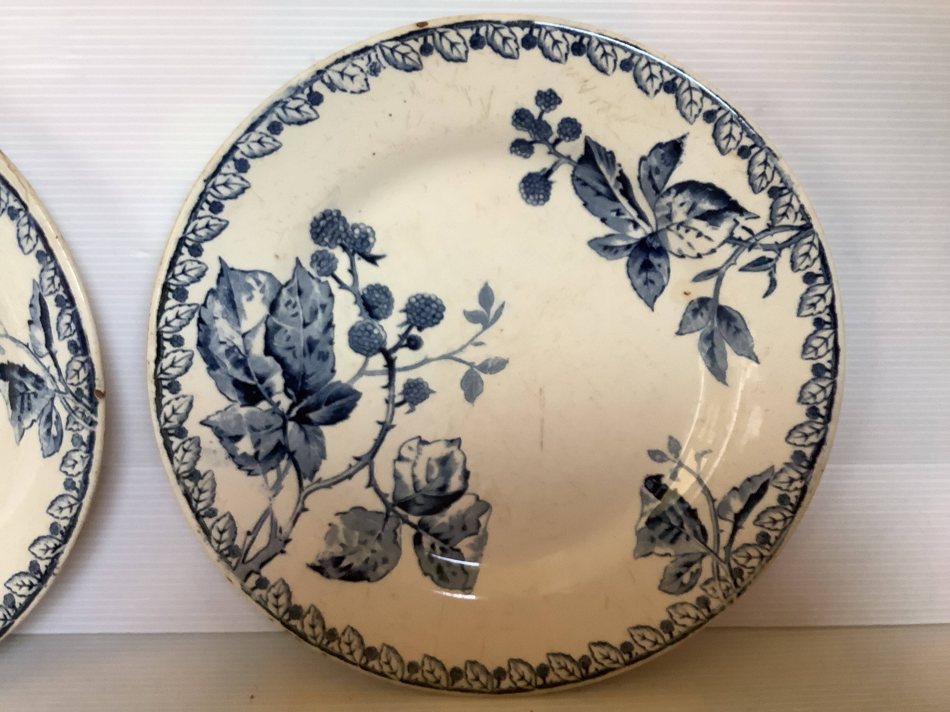 Pair of old mature ironstone plates