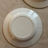 Set of saline hollow plates of iron earth with flowers