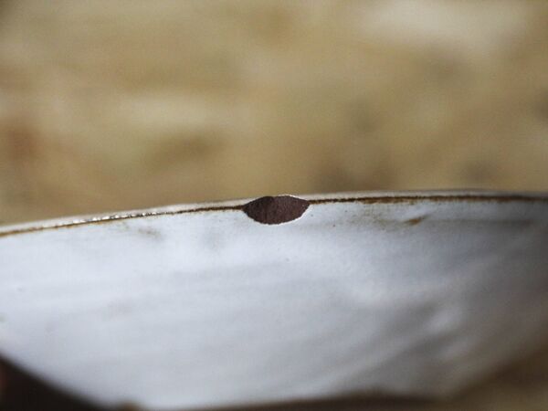 Ensemble de 10 tasses et sous-tasses à café Chantal et Thierry Robert