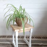 Stool  side table  plant door