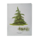 Botanical poster - Himalayan cedar