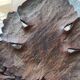 Wooden tray