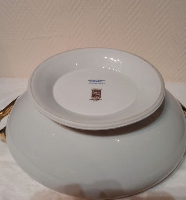 Vegetable soup bowl