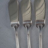 Fish service and its 6 silver-plated cutlery, crossed ribbon model