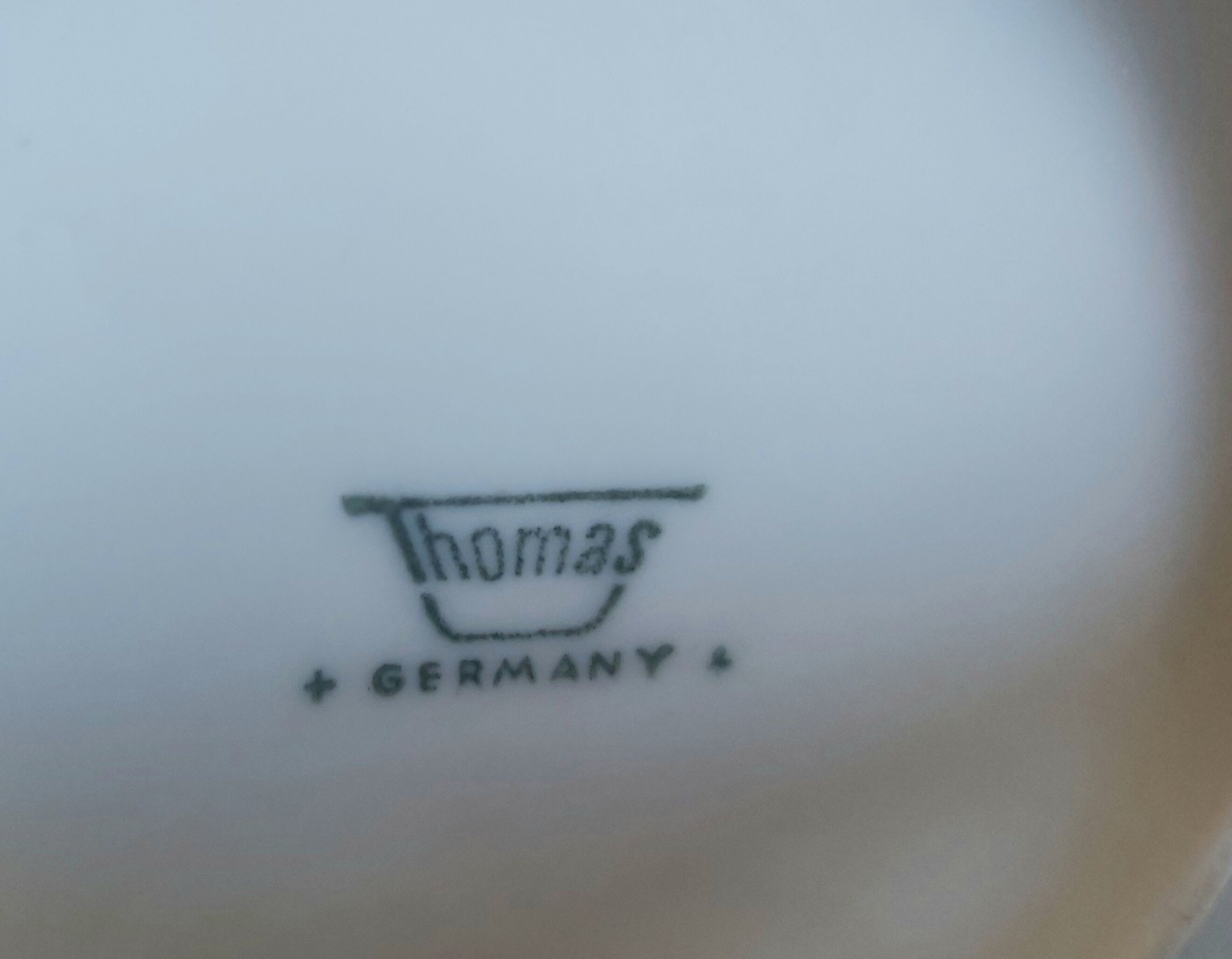 Thomas Rosenthal Germany porcelain Tulips coffee set in greens and blues