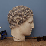 Greek head in waxed plaster