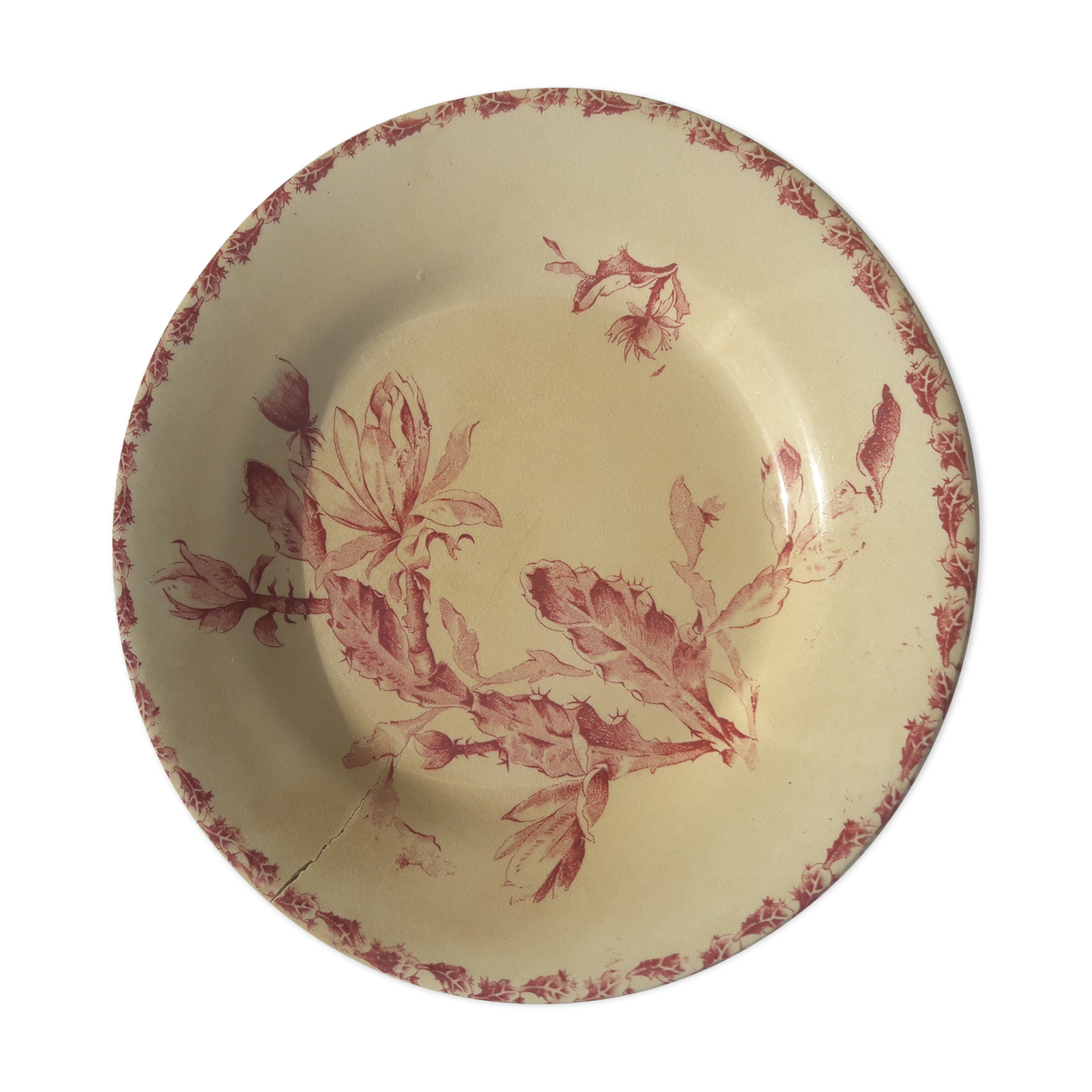 Gien model Cactus diam opaque porcelain plate 21 cm