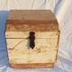 Old teak chest with original unbleached patina