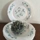 Flat plates myosotis veronica with small blue flowers