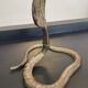 Vintage Cobra bronze candle holder from the 70s