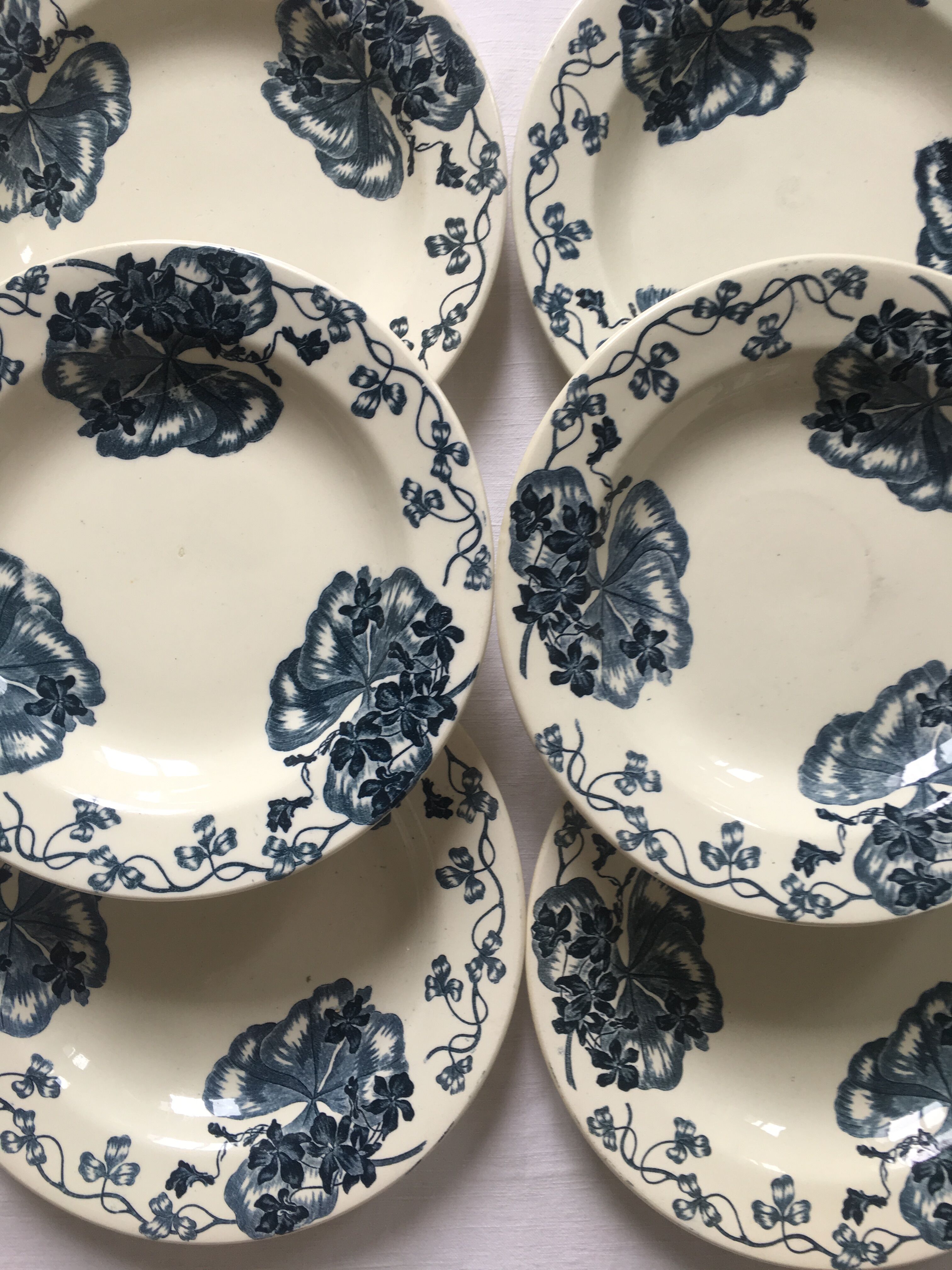 6 hollow plates Terre de Fer Salins Les Violettes