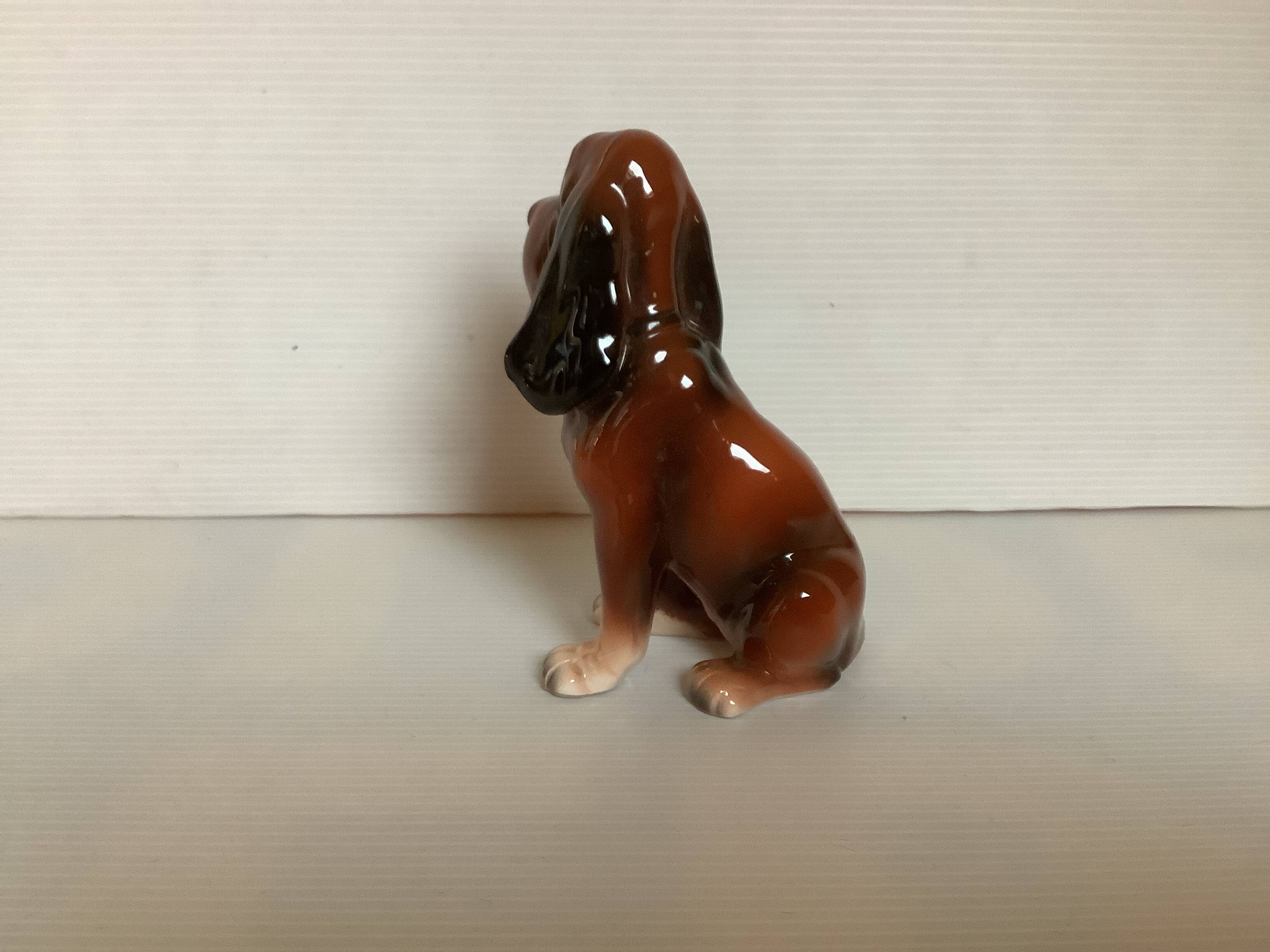 Saint Hubert hunting dog