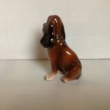 Chien de chasse Saint Hubert