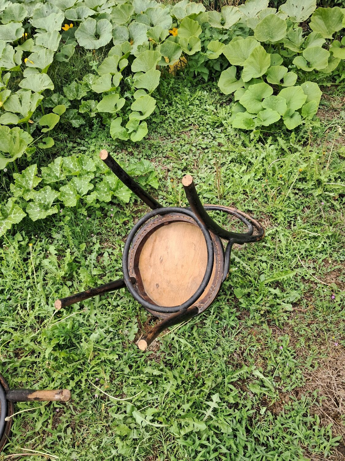 Pair of bistro-style chairs
