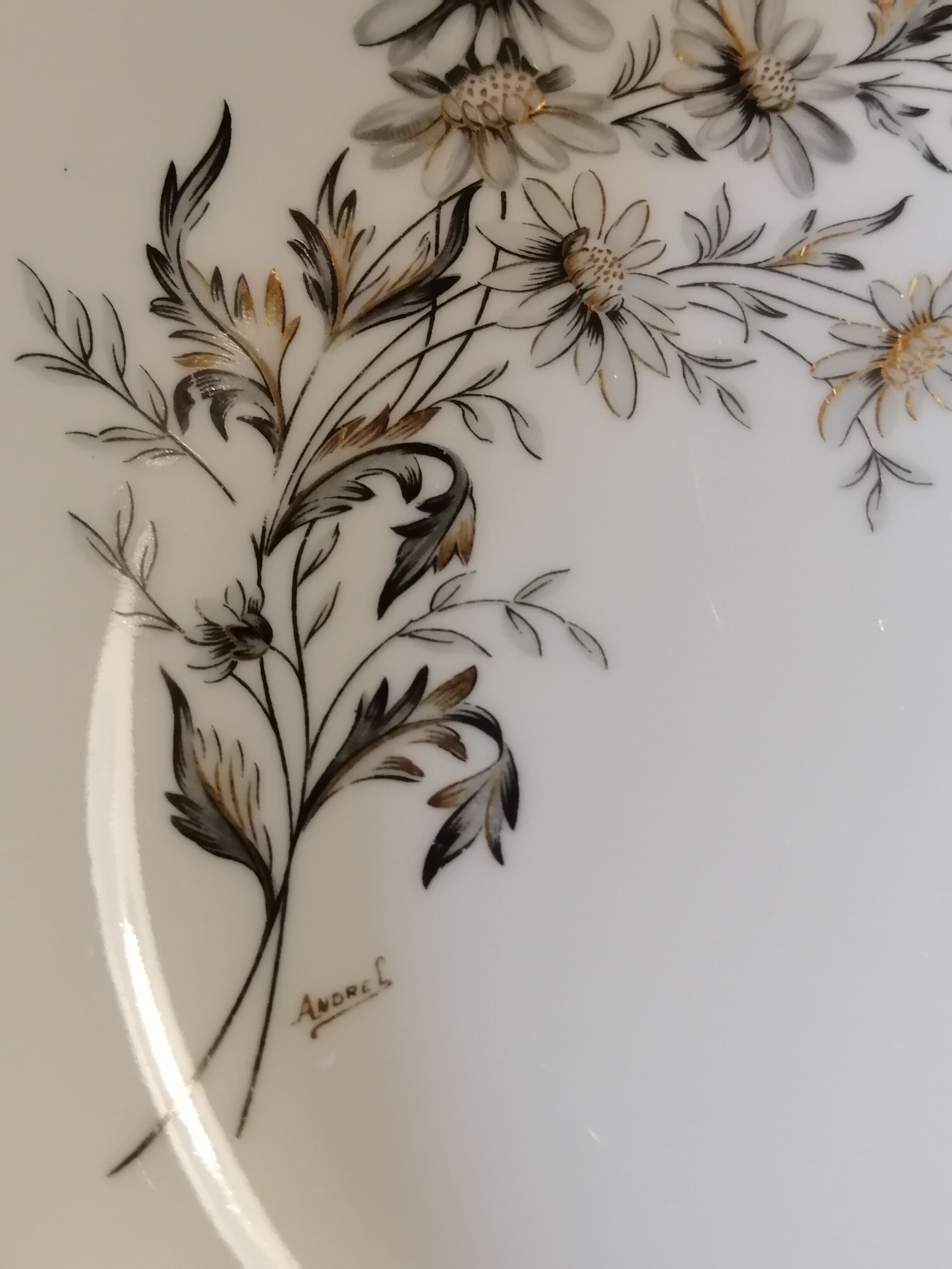 6 porcelain hollow plates