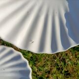 Scallop Shell Soap Dish