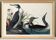Poster about the Catmarin Diver, based on an old engraving from 1827.