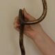 Pair of Neo-Egyptian Style Engraved Brass Wall Sconces Featuring Cobras