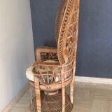 Fauteuil emmanuelle "peacock"