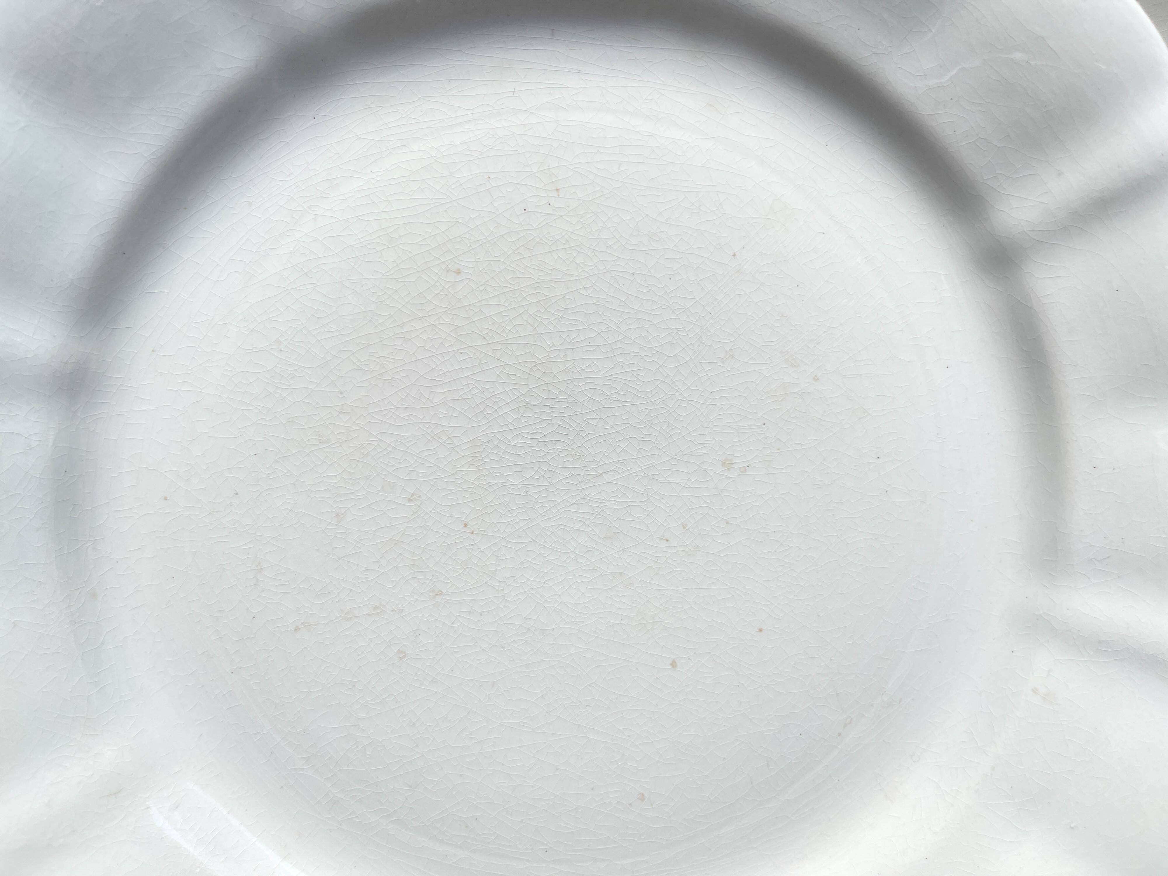 12 Vintage Terre de Fer White Plates + Small Gold White Porcelain Plates LIMOGES