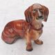 Large dachshund in German porcelain Cortendorf