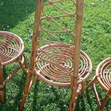 Trio of bamboo and rattan chairs published by Bonacina, 1960