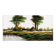 Oil on canvas Marais Poitevin signed POLO (30 x 60 cm)