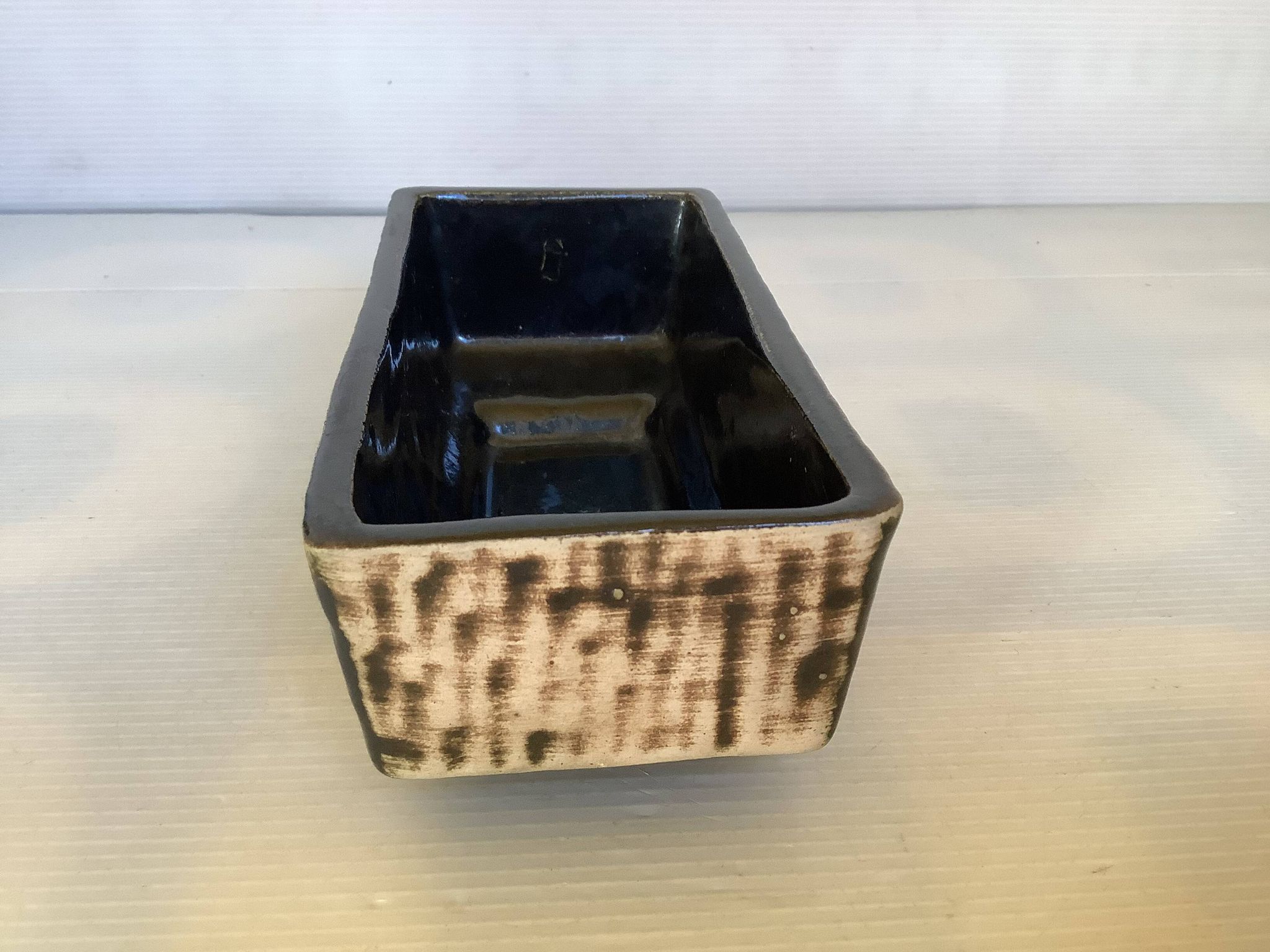 Small cactus planter Aldi Reuver Holland