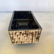 Small cactus planter Aldi Reuver Holland