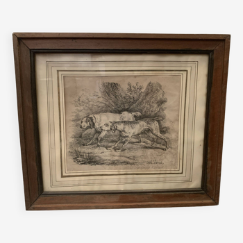 Framed engraving with decoration of two dogs at the stop XIX century