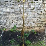 Lampadaire  par René  Broissand en bronze vers 1970