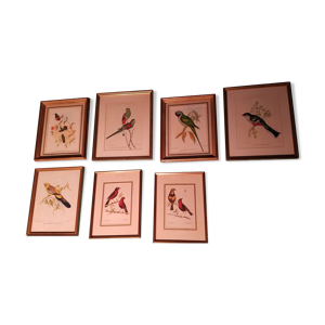 Ensemble de 7 lithographies ornithologiques