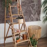 Old painter's stepladder