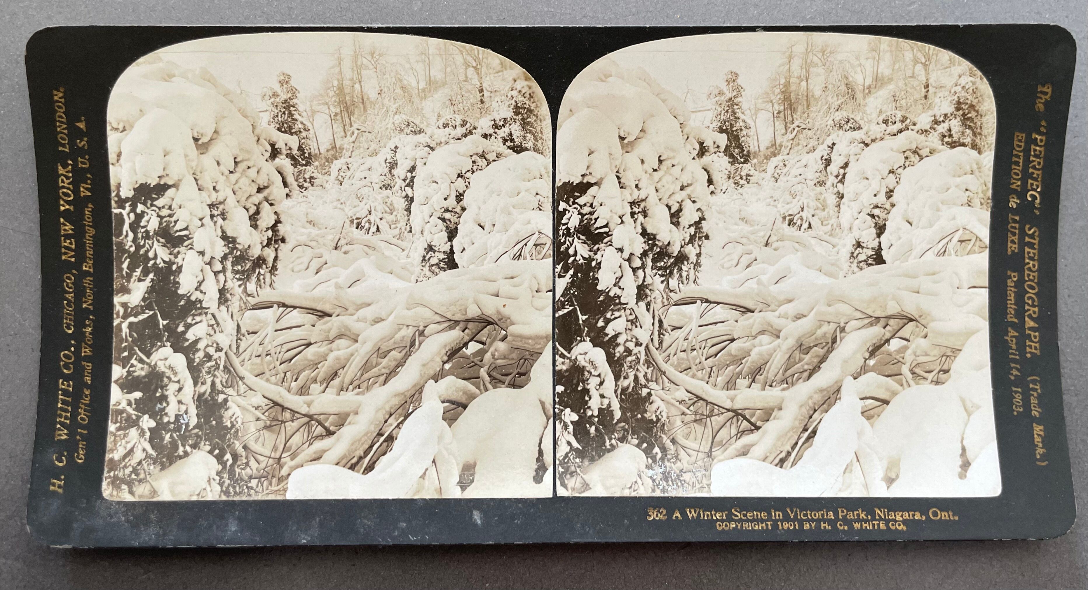 Antique photography, stereo, stereography, luxury albumine 1903 Ontario Canada