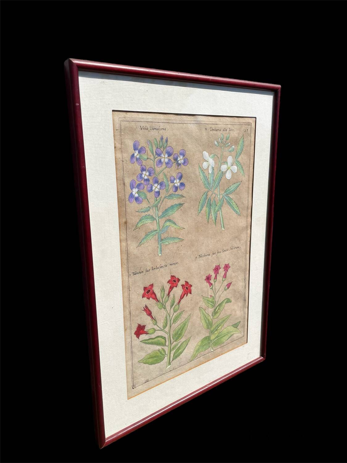 Gravure XVIIème originale sur cuivre, dessinée et gravée par Sweert