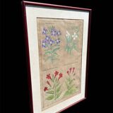 Gravure XVIIème originale sur cuivre, dessinée et gravée par Sweert