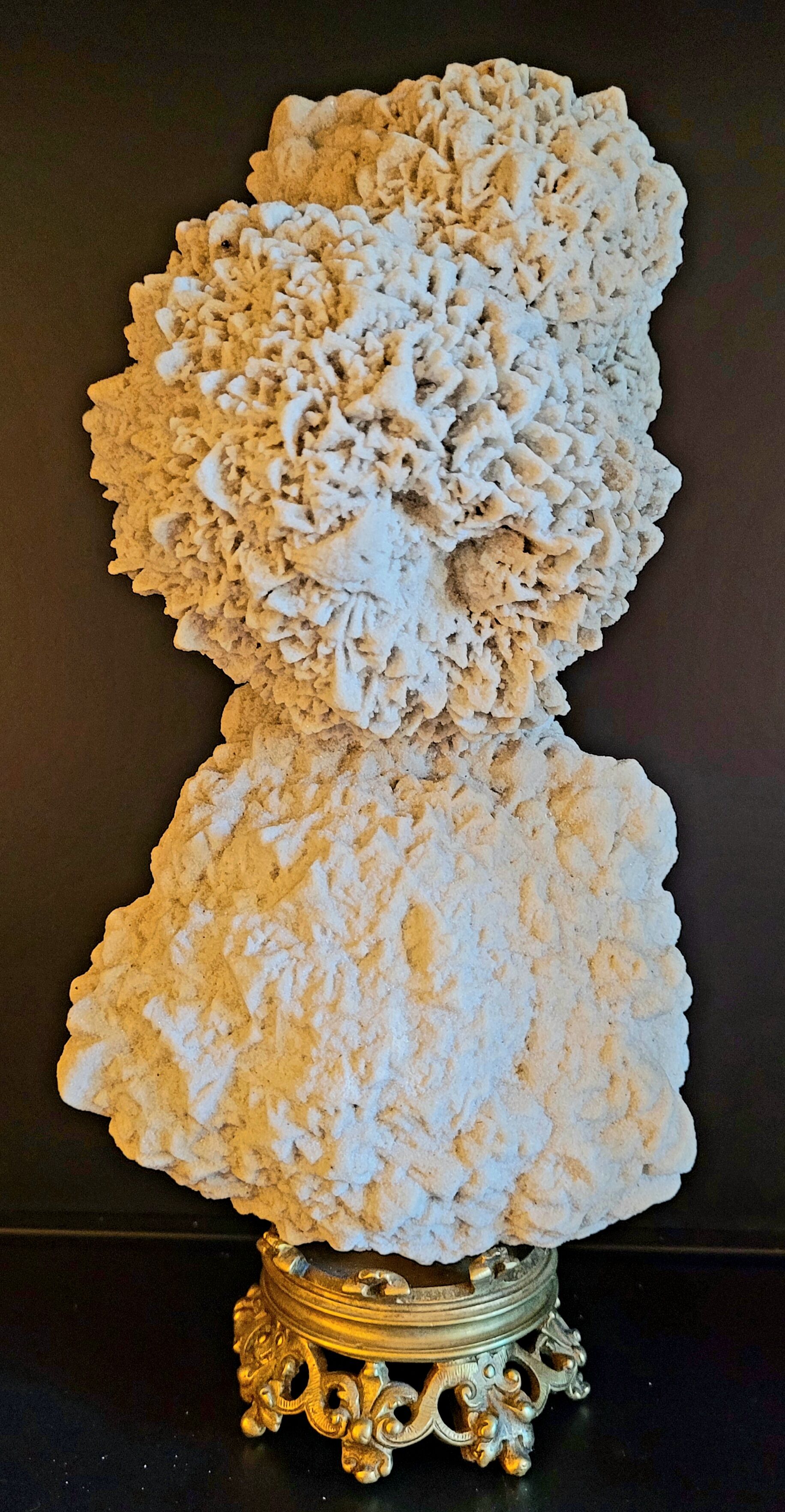 Cabinet of curiosities Naturalia and Minerals Gogotte de Fontainebleau