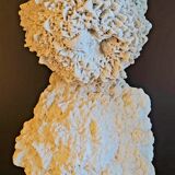 Cabinet of curiosities Naturalia and Minerals Gogotte de Fontainebleau