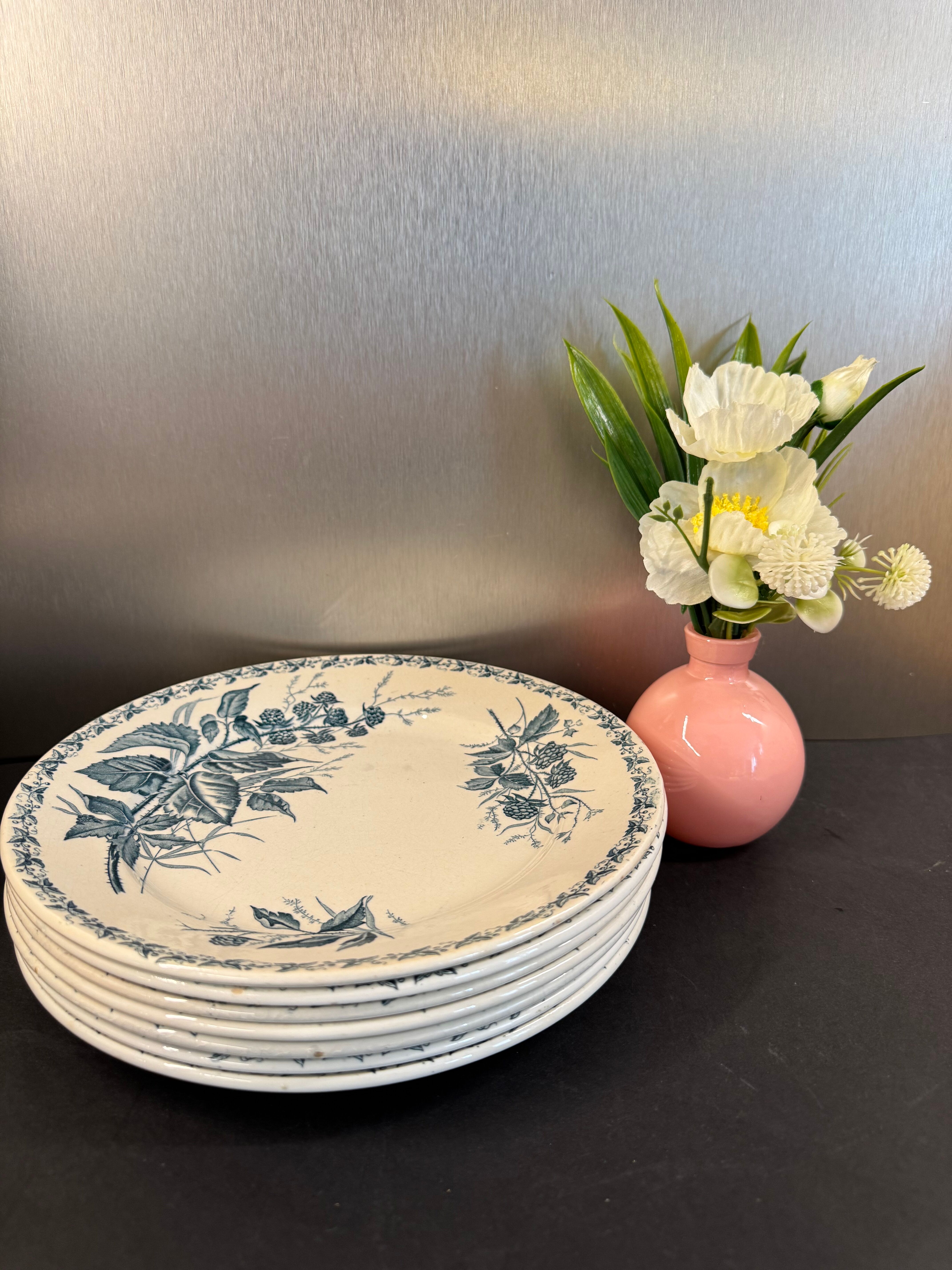 7 deep plates in ironstone "Mûre" Badonviller